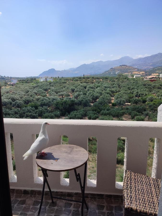Natural Green Apartment دامنوني المظهر الخارجي الصورة